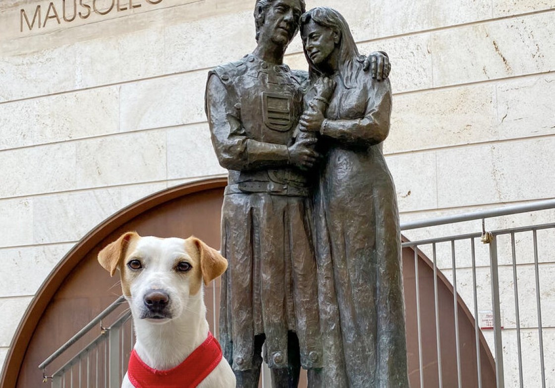 Los perros podrán ir sueltos por el parque de Las Arcillas y la ribera del Turia