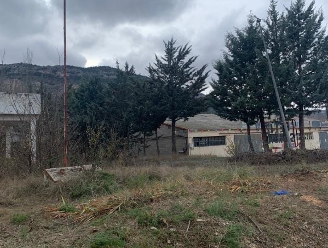 Talan el árbol navideño reivindicativo que se instaló el Movimiento de Acción Rural en Montalbán