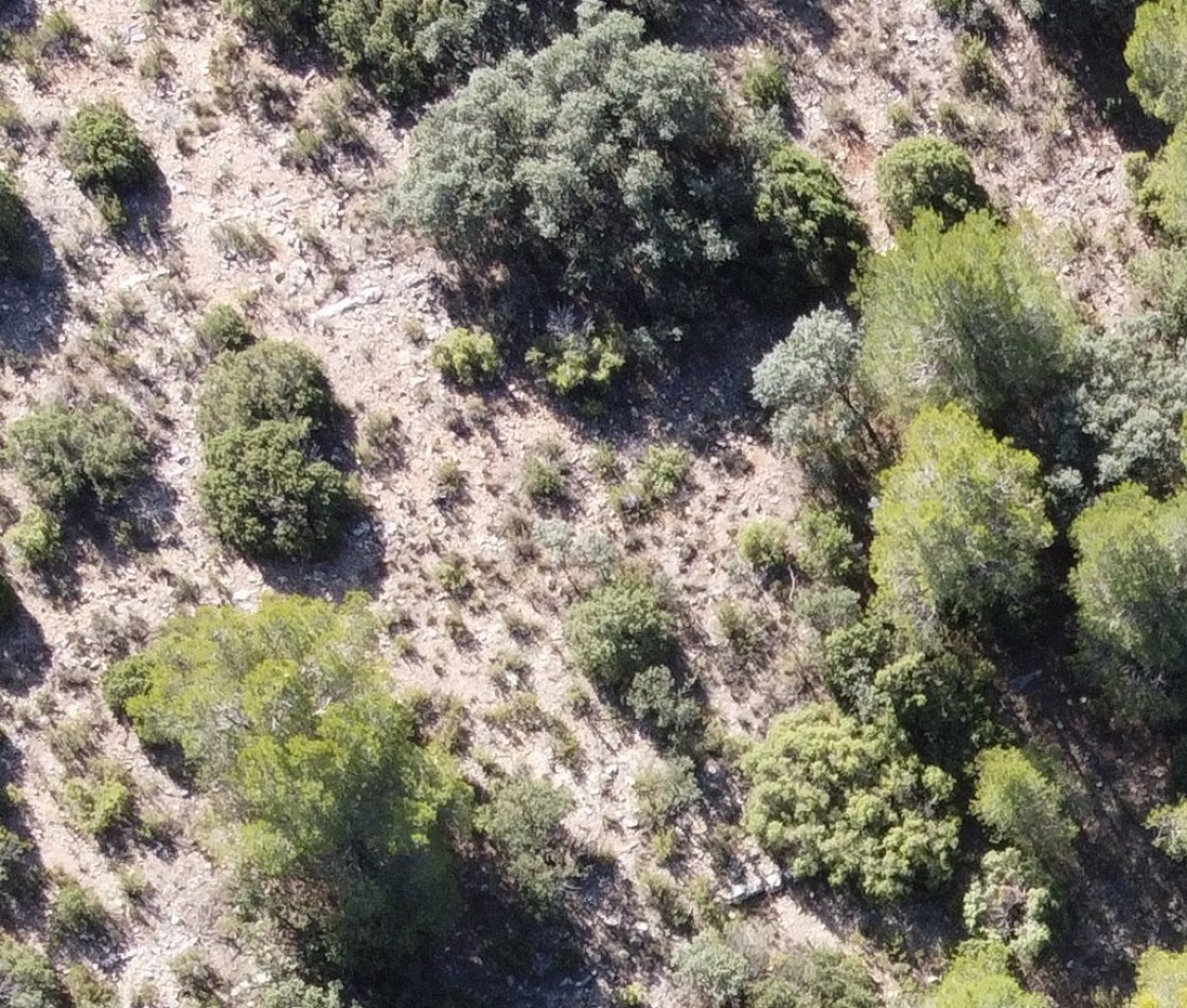 La futura carta arqueológica de la Sierra de los Caballos de Alcorisa protegerá los yacimientos