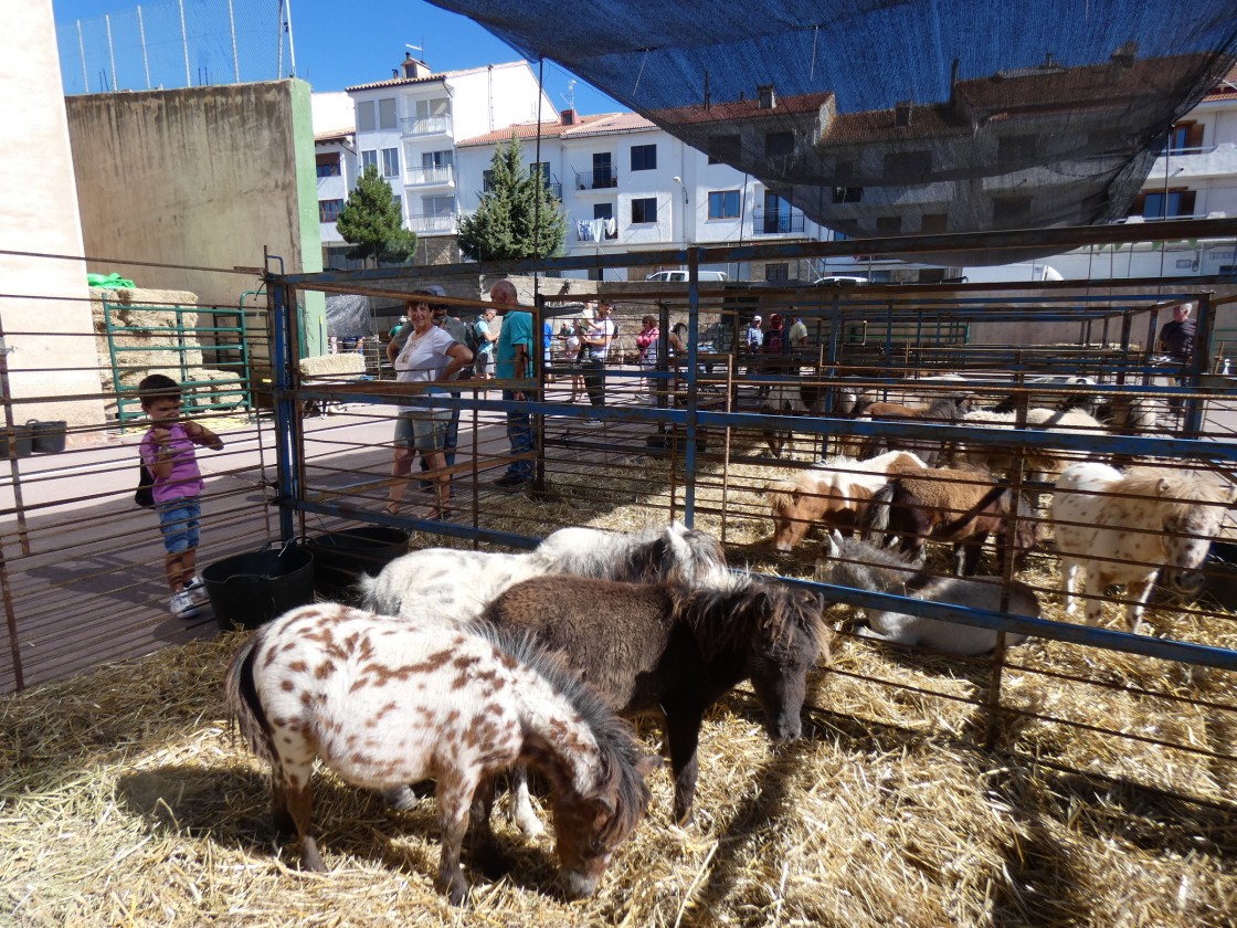 El calendario ferial de la provincia de Teruel incluye para este año 34 certámenes