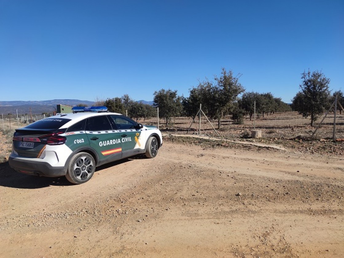 Detenido un hombre en Sarrión por robar trufas en dos plantaciones de la localidad