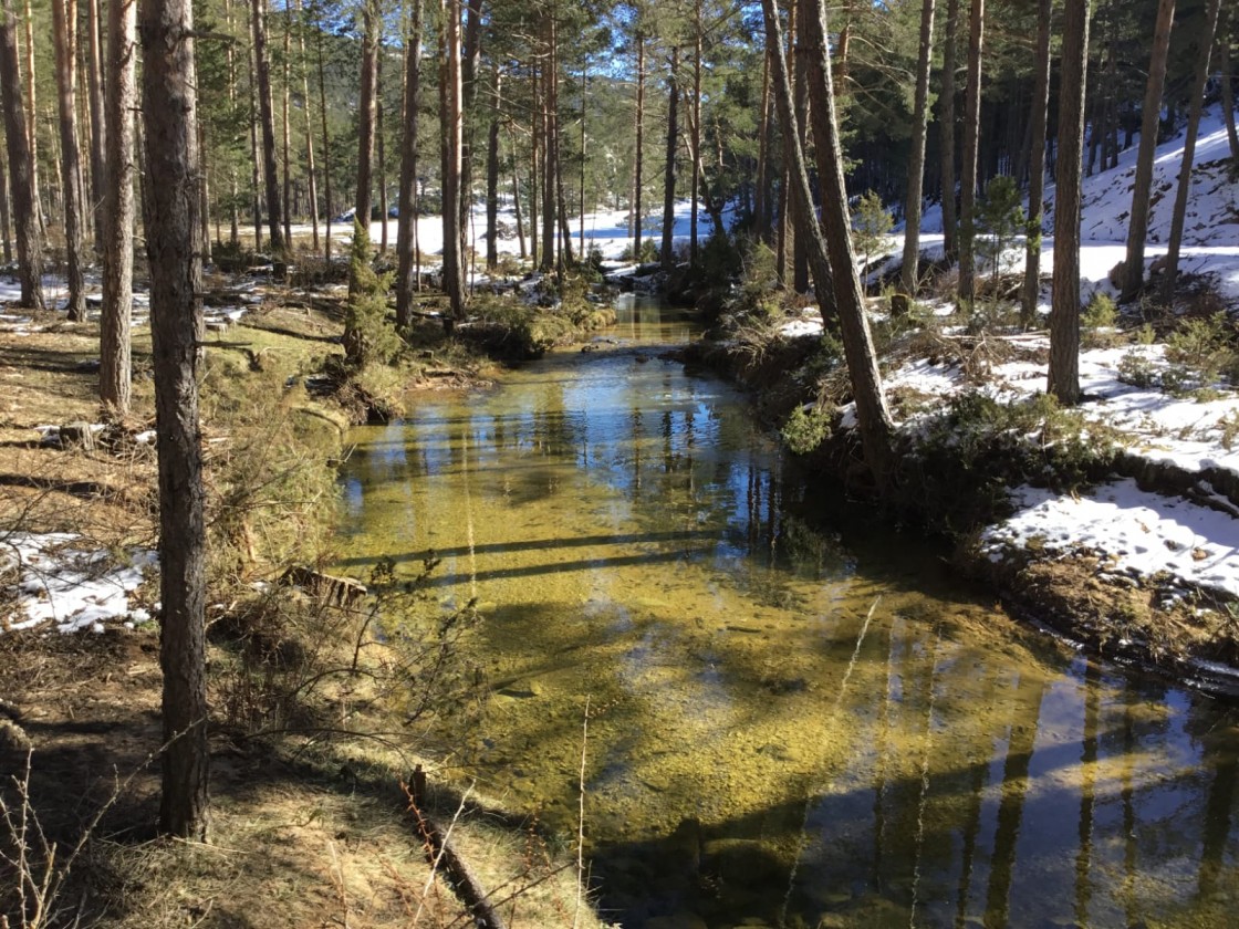 La Fiscalía de Teruel archiva las diligencias informativas sobre las talas forestales