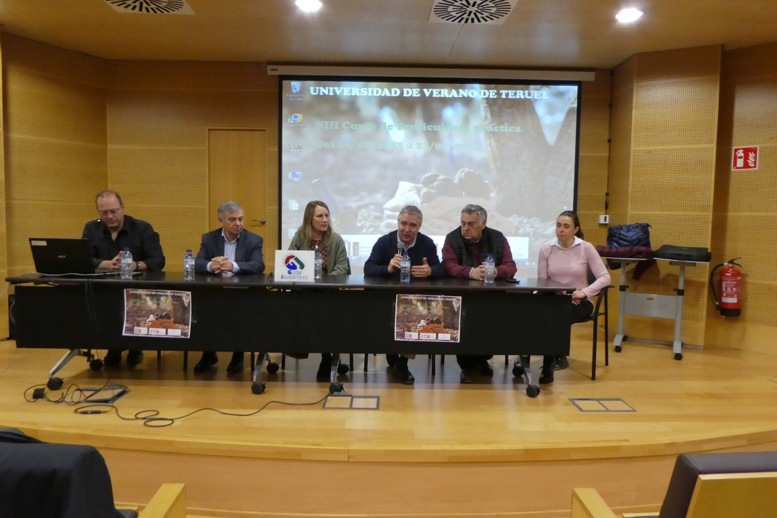 Teruel, a la cabeza de Aragón en producción de trufa ecológica con un total de 200 hectáreas