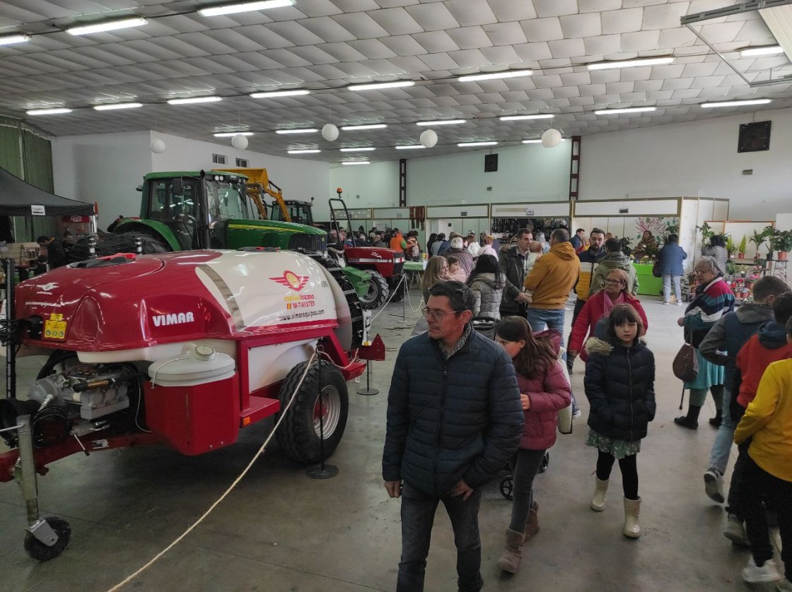 Valdealgorfa celebra su Feria de la Almendra con esperanza de tener una mejor cosecha en septiembre