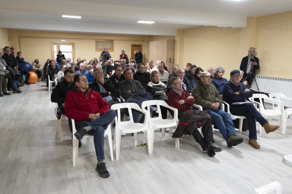 SOS Montes Universales quiere preservar de las talas de pinos la Dehesilla de las Monjas