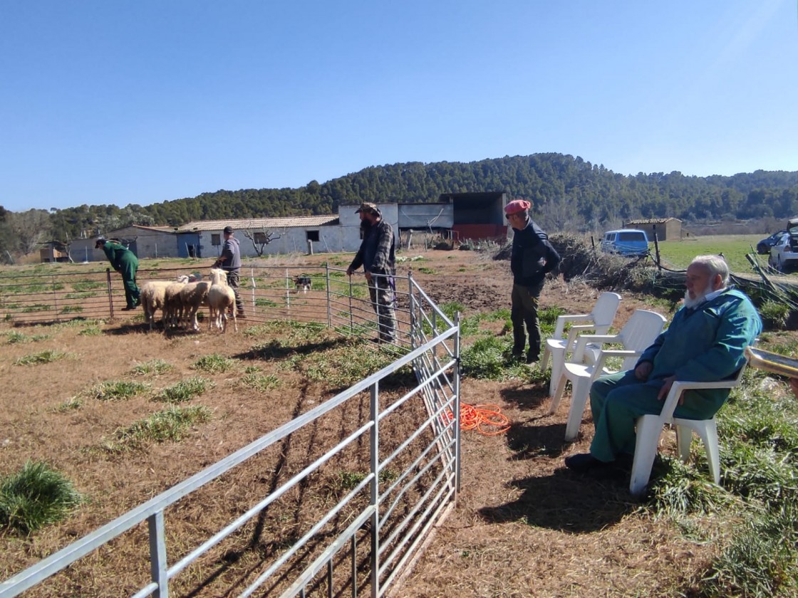 Pastores del Bajo Aragón, de Teruel, Valencia y Huesca se forman en el manejo de las ovejas con perros dela raza Border Collie