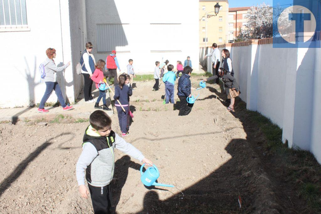 Colegio y Ayuntamiento de Utrillas crean el primer huerto escolar