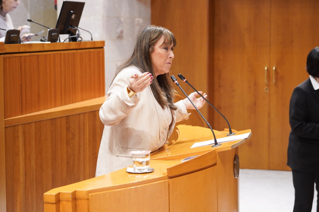 Pérez y Repollés defienden ante el PP el plan de emergencias sanitarias y dicen que es realista