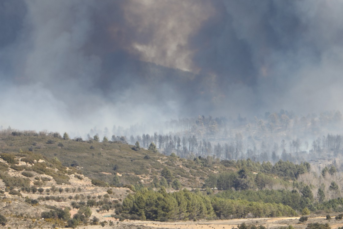 Los bomberos forestales en huelga acuden al operativo por el incendio de San Agustín y aplazan los actos de protesta