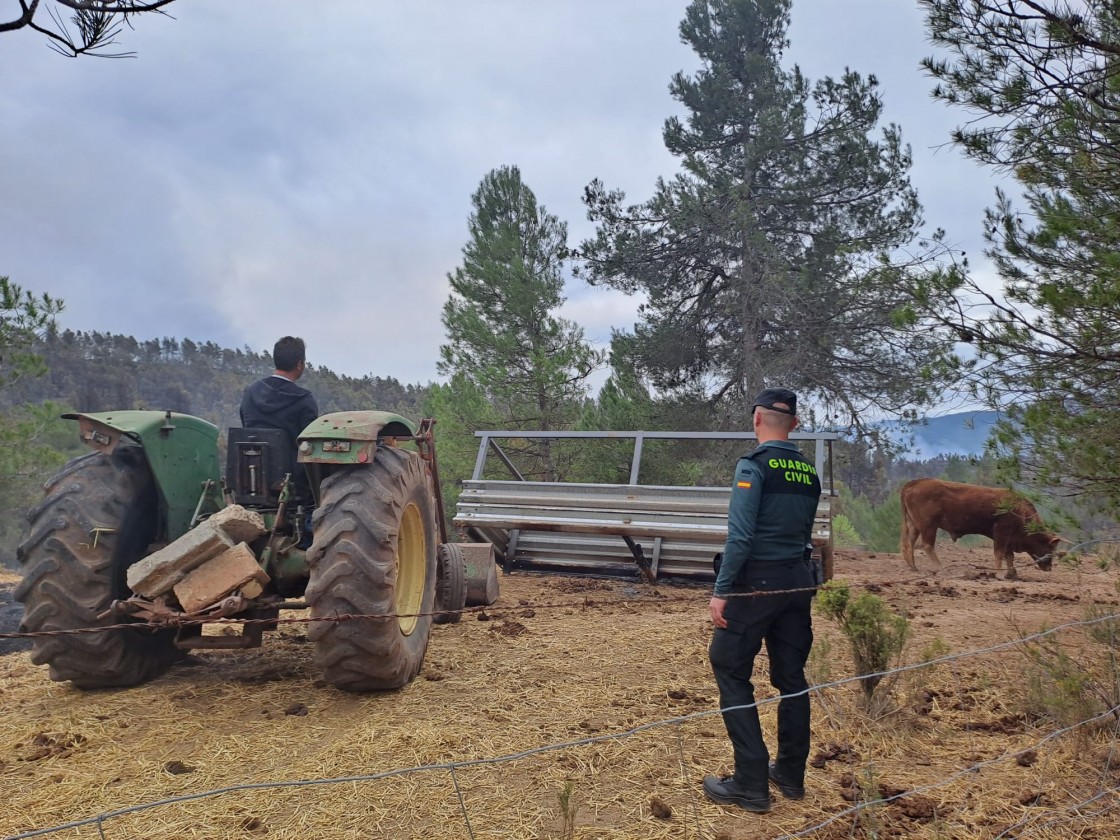 Los vecinos de Olba acceden a sus tierras acompañados por la Guardia Civil para dar comida a sus animales