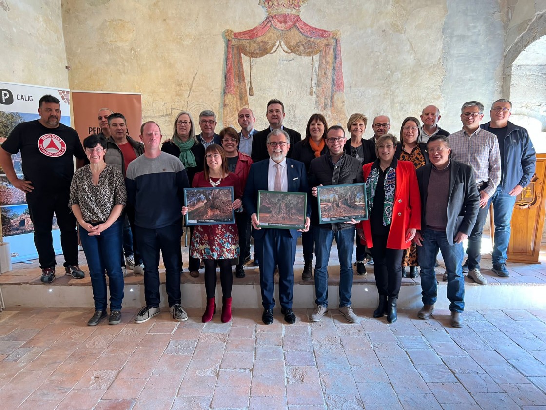 Las diputaciones de Teruel, Castellón y Tarragona reciben un reconocimiento por la promoción del patrimonio natural