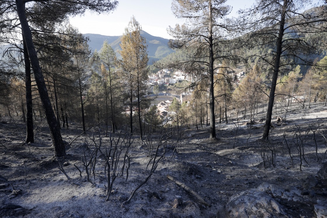 El incendio forestal en Castellón afronta una jornada de alto riesgo debido a los fuertes vientos