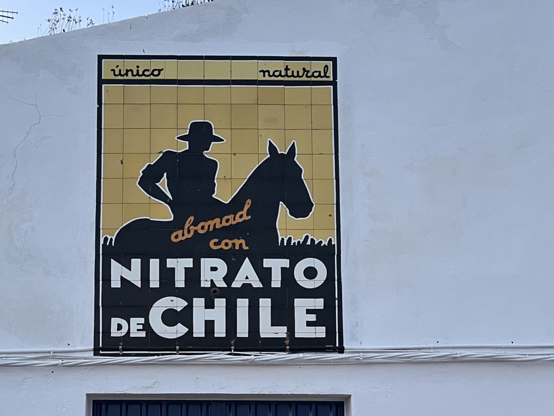 Chicos malos