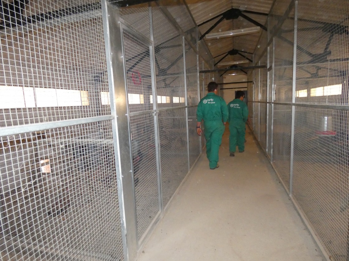 Teruel amplía su oferta de Formación Profesional con ciclos muy demandados y vinculados al territorio