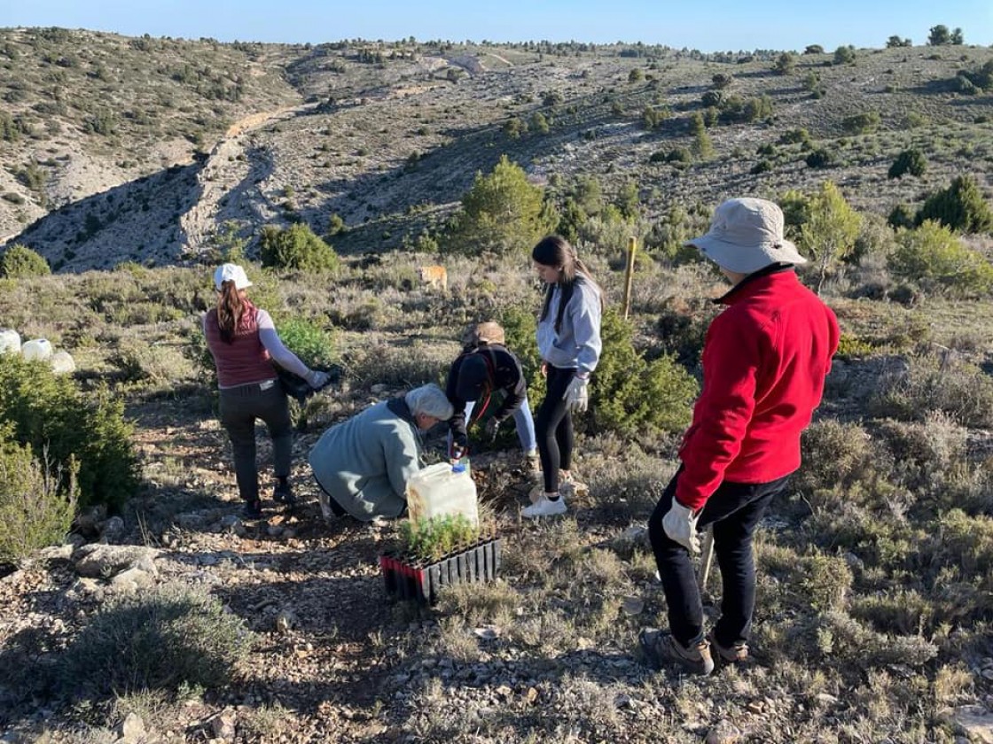 Dos Torres de Mercader planta más de 300 árboles en la senda de las trincheras