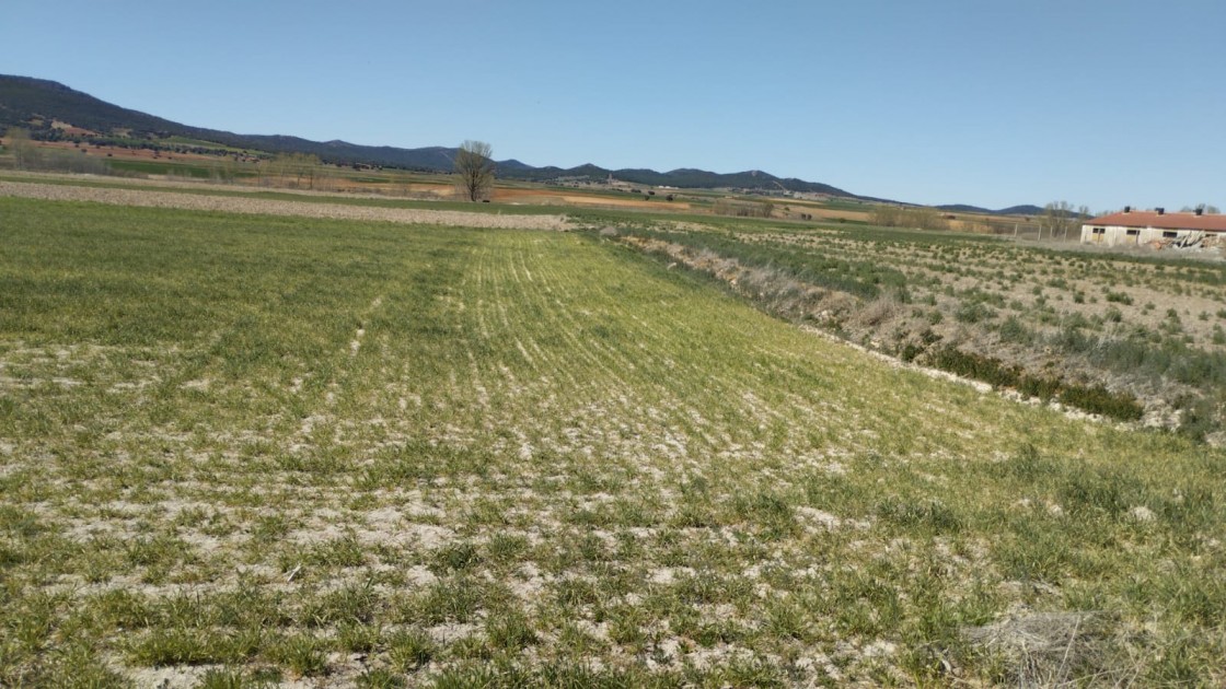 El sindicato UAGA urge a tomar medidas para paliar los efectos de la sequía en el campo