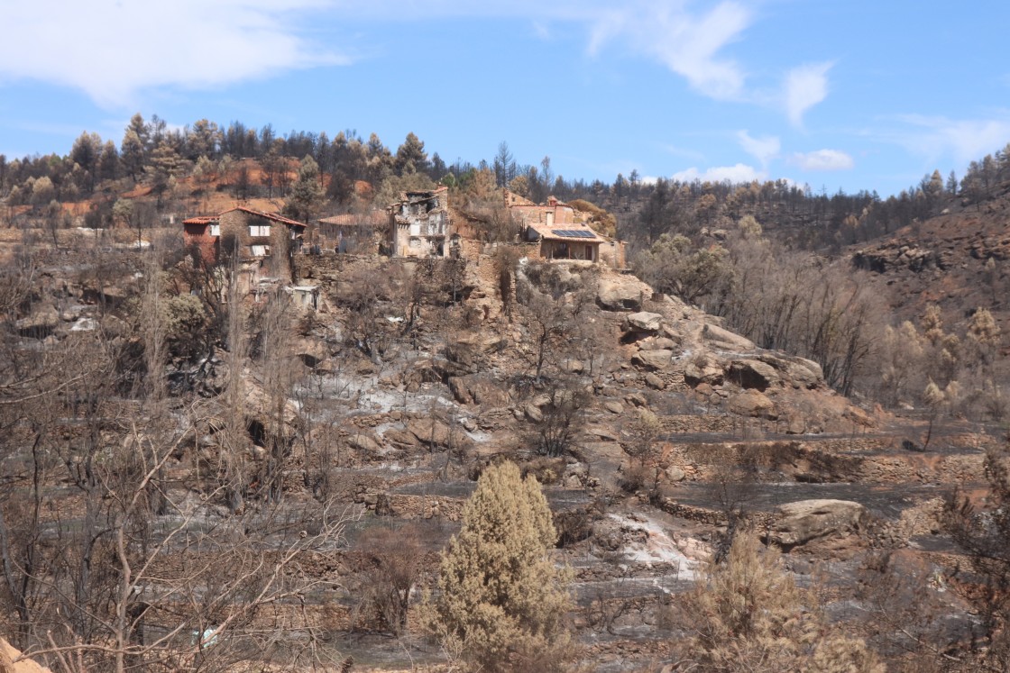 San Agustín cifra en 114.000 euros las pérdidas en el monte por el fuego y hay 25 solicitudes de daños a particulares