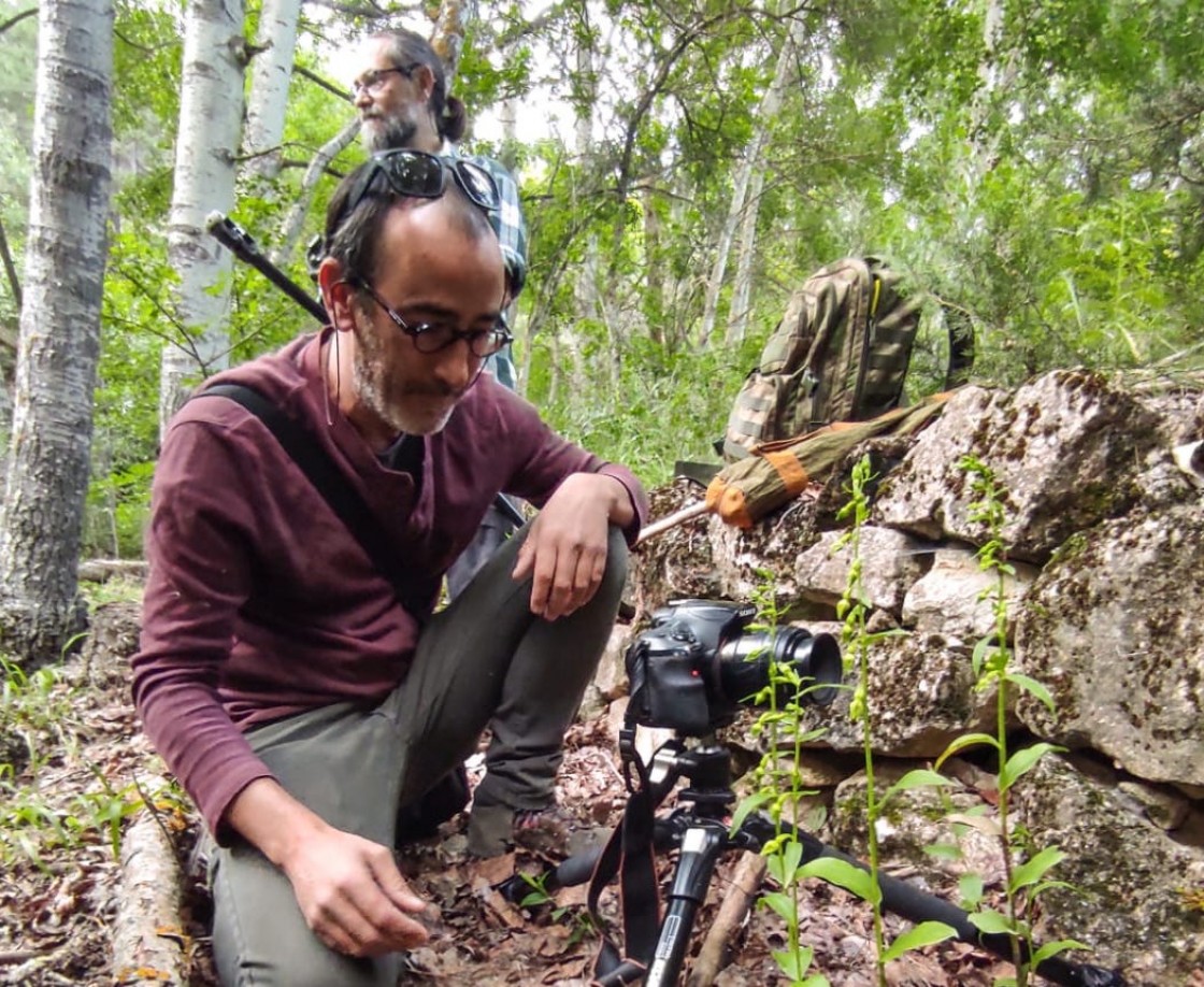 La Sierra de Albarracín alardea de singularidad y variedad de orquídeas