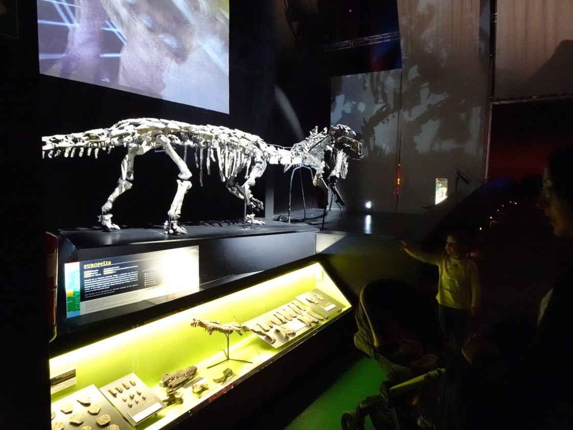 El Museo Paleontológico de Dinópolis reluce con la nueva iluminación de sus salas expositivas