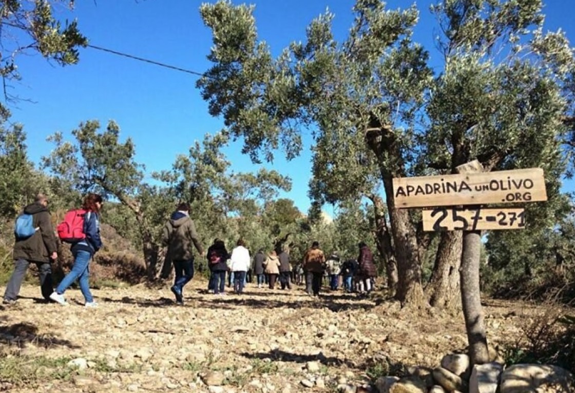 La Diputación de Teruel pondrá en marcha un Centro de Innovación Territorial con apadrinaunolivo