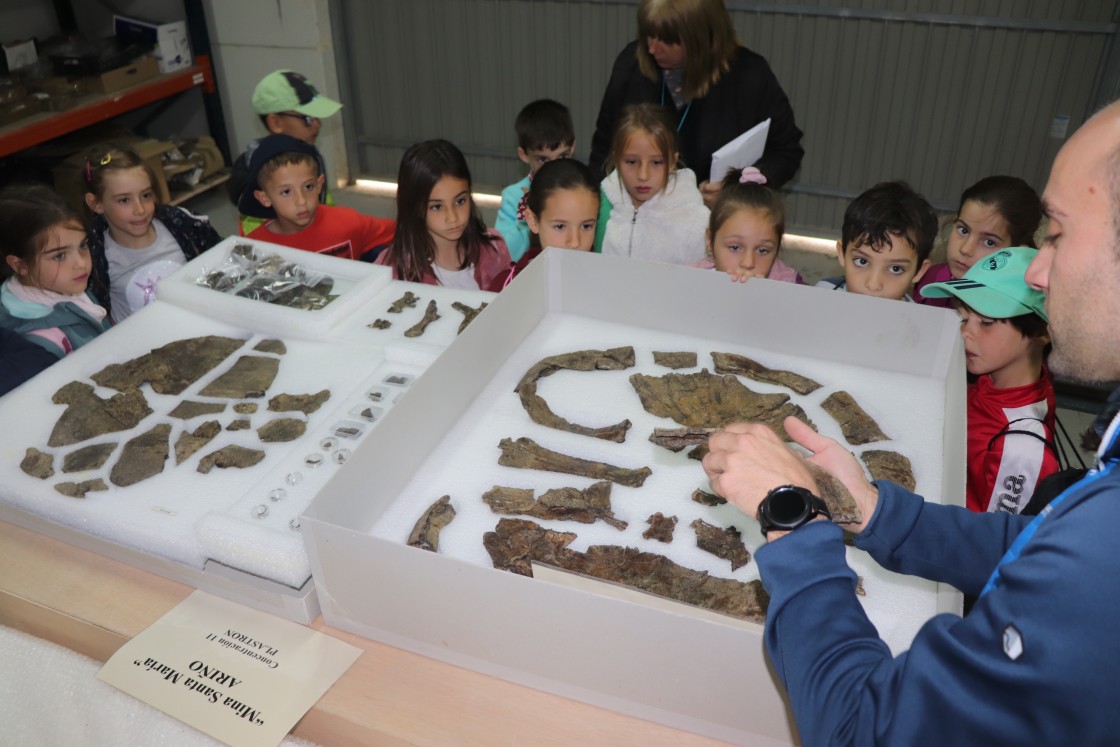 La Fundación Dinópolis reconstruye en el laboratorio un yacimiento con alrededor de 160 icnitas