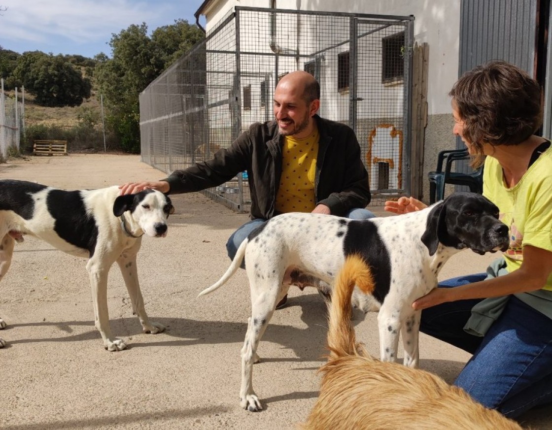 Podemos propone la creación  de un centro de protección animal