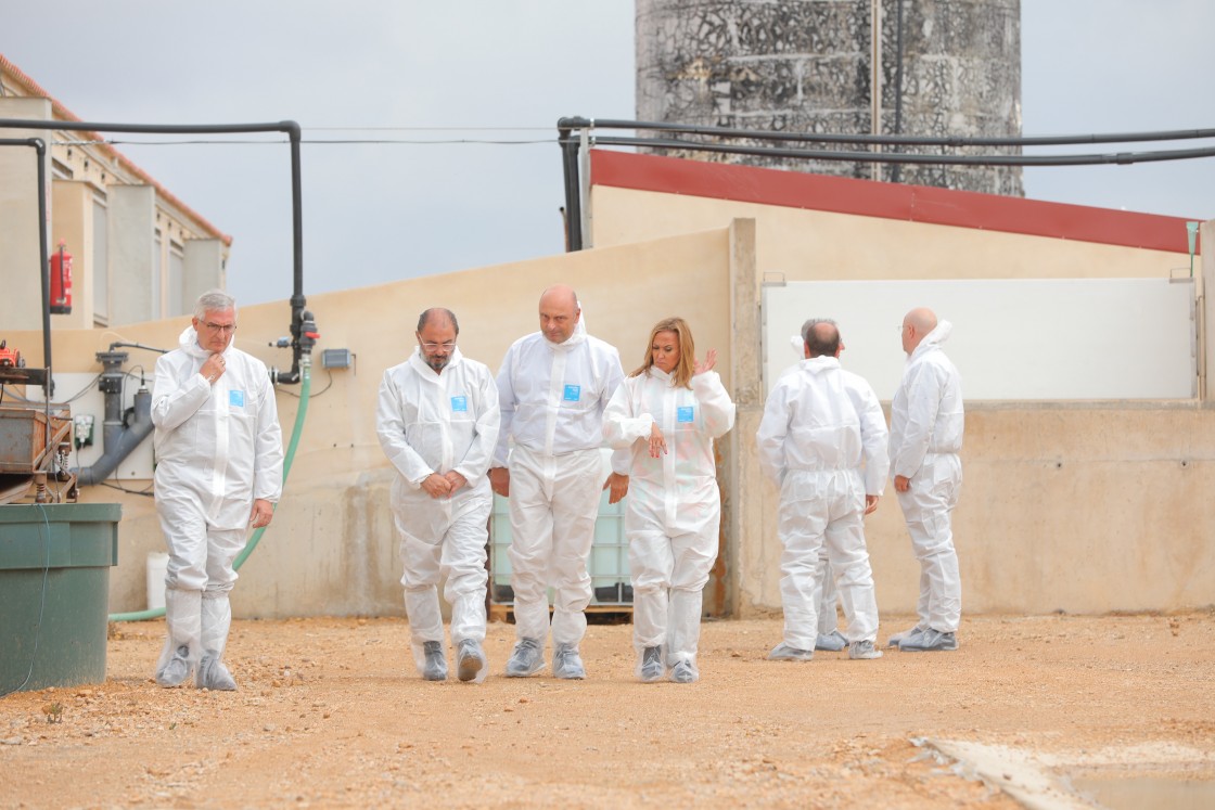 Una granja experimental en Monreal del Campo aplica las patentes de Térvalis para reducir la contaminación de los purines