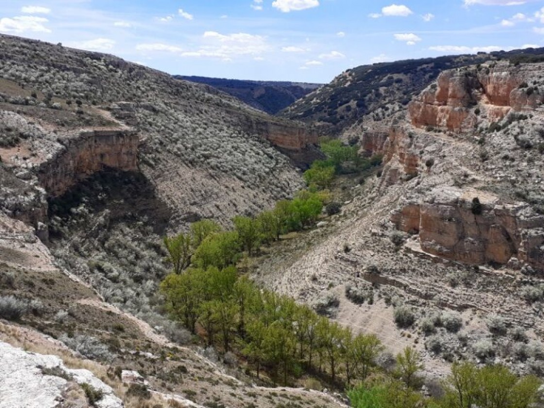 El Parque Cultural del Chopo Cabecero estrena un sendero a la Muela del Galve