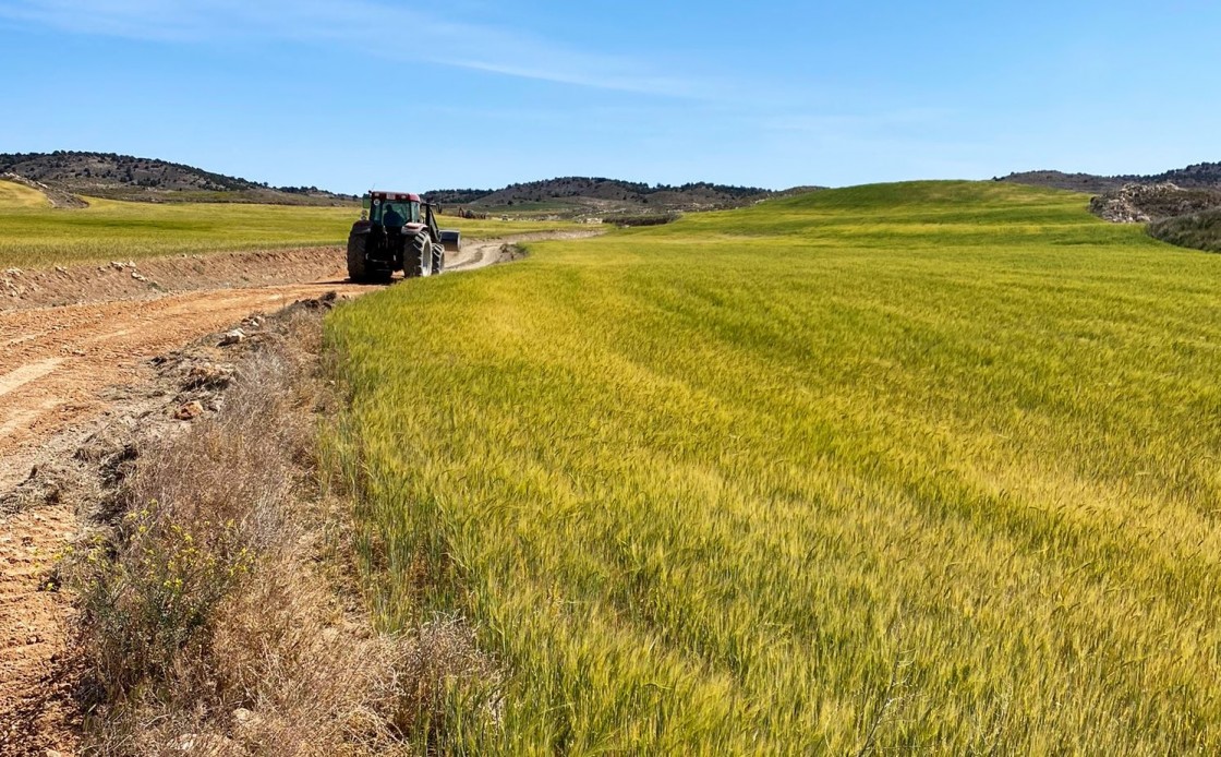 Las cooperativas agroalimentarias estiman que la reducción de la cosecha de cereal será del 44%