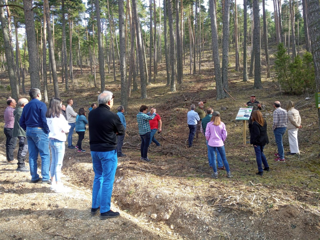 Cedrillas muestra la gestión forestal en  un sendero didáctico jalonado de arte