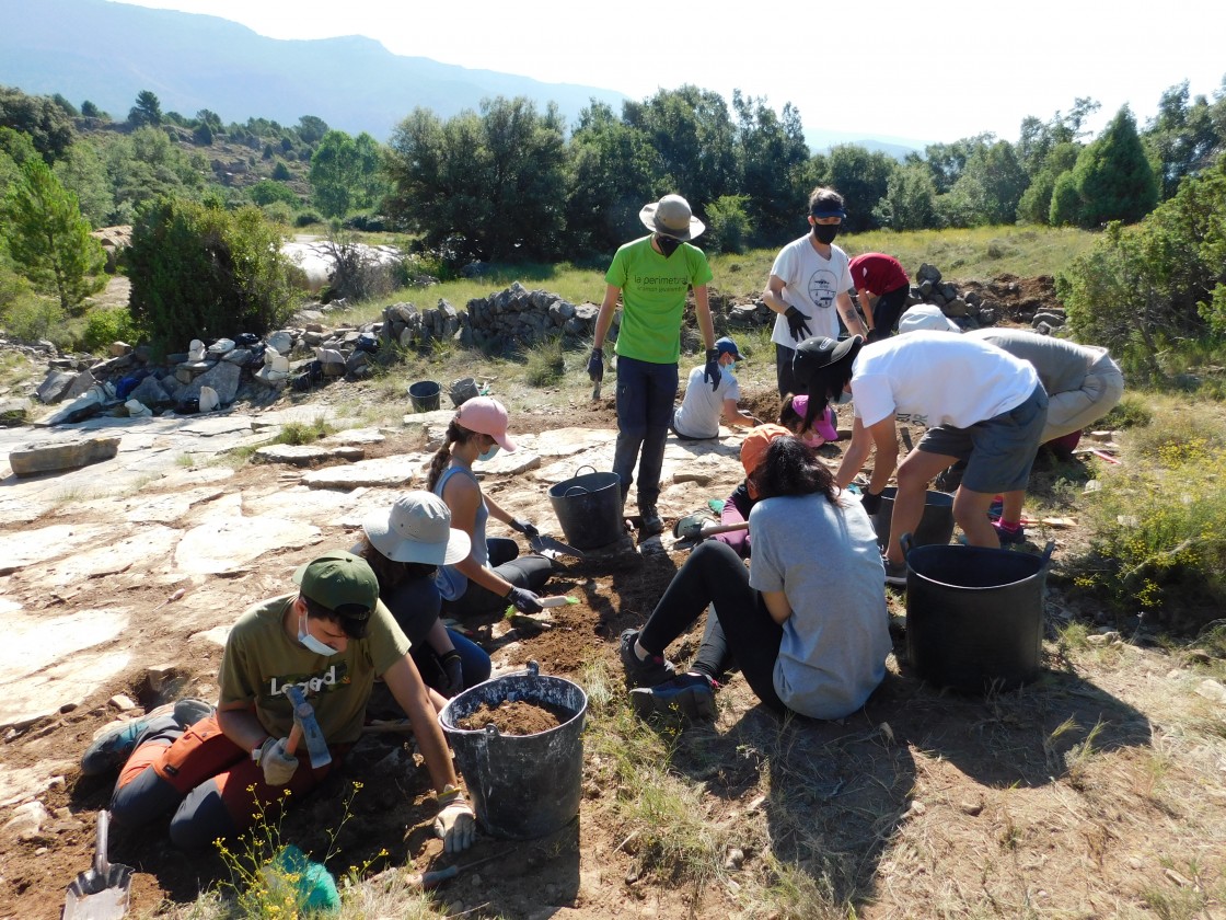 El curso de Paleontología de la Universidad de Verano ampliará el yacimiento de El Pozo