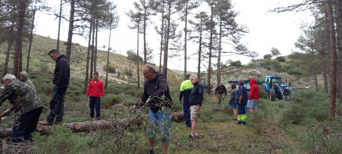 Cuevas Labradas planta el pino de San Juan, una tradición que no se celebraba desde el 2012