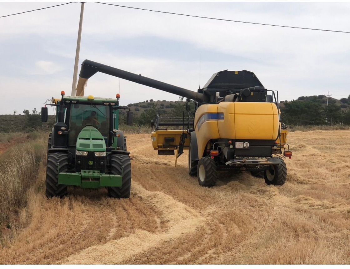Los agricultores ven “desastrosa”  una cosecha de cereal lastrada además por la subida de los precios