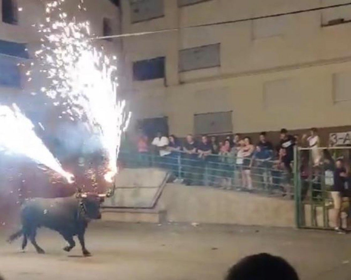 La familia del herido por el toro en Castralvo emprenderá acciones legales