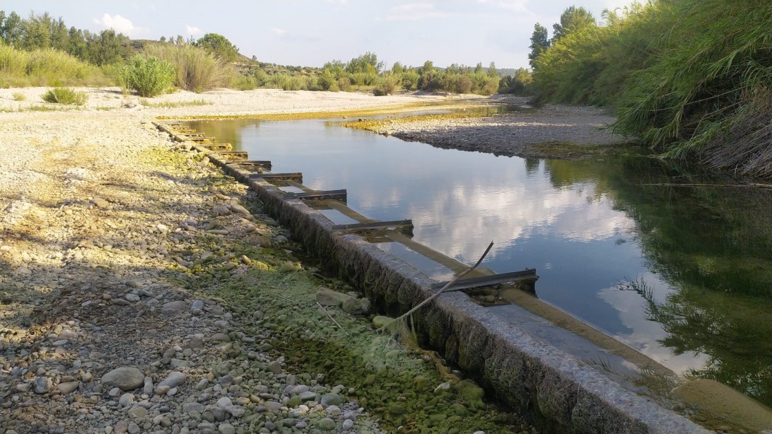 El Ayuntamiento de Mazaleón declara no potable el agua de boca hasta nueva orden por la presencia de una bacteria