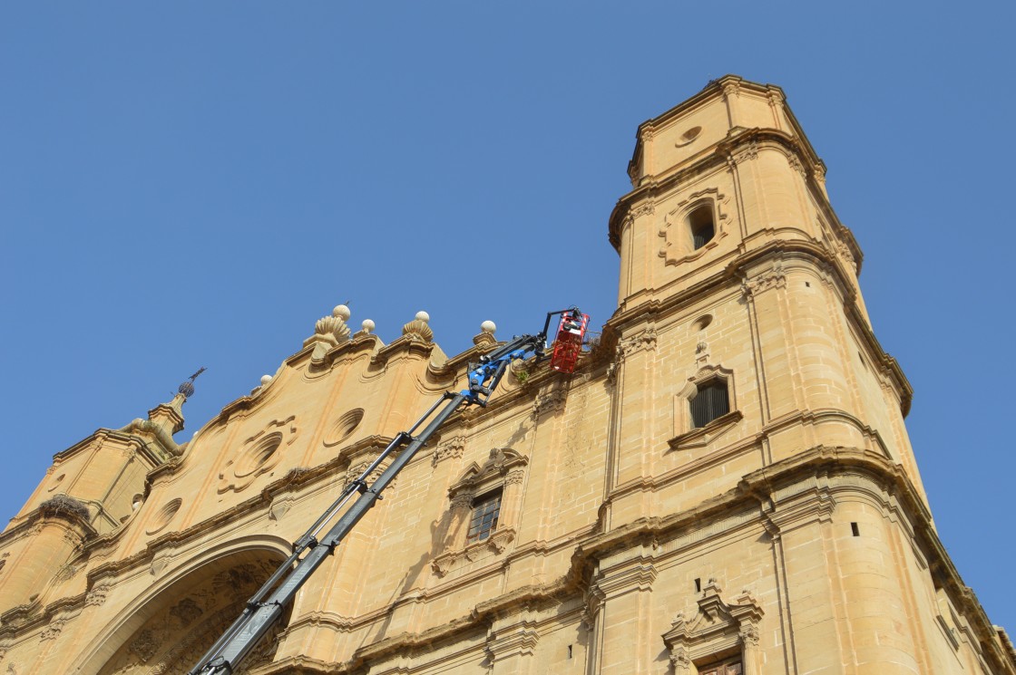 Los bomberos retiran una decena de nidos de cigüeñas de la iglesia de Santa María de Alcañiz