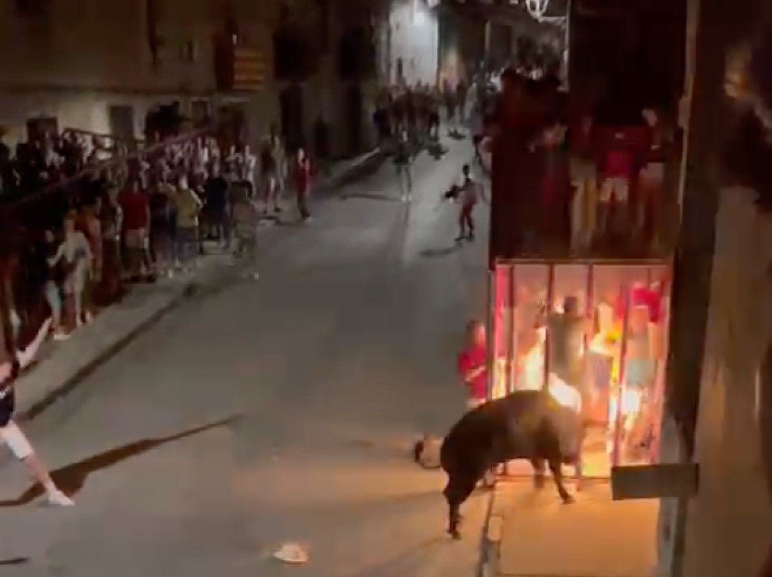 Un hombre resulta corneado en Cella por el toro embolado de las fiestas