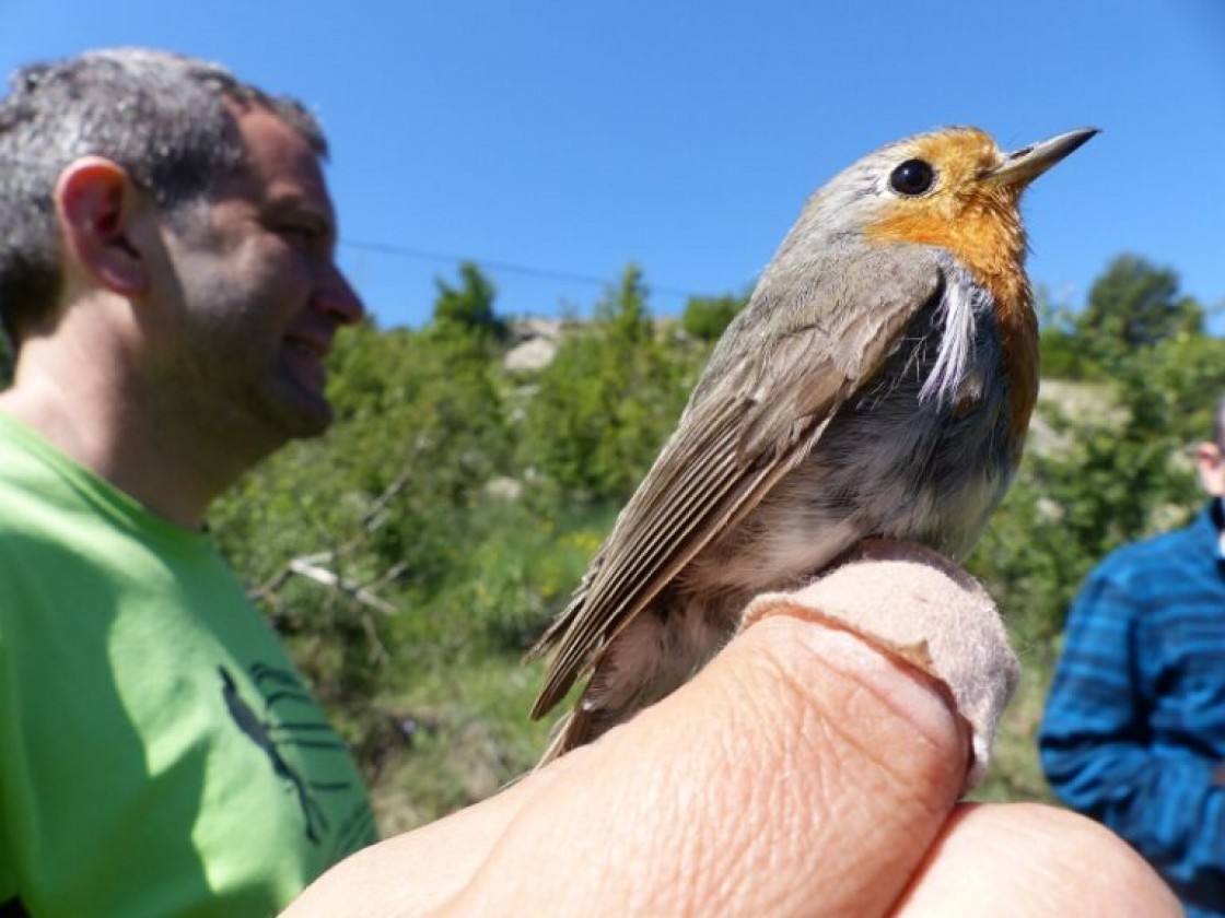 Aguilar del Alfambra divulga su riqueza ornitológica en dos actividades