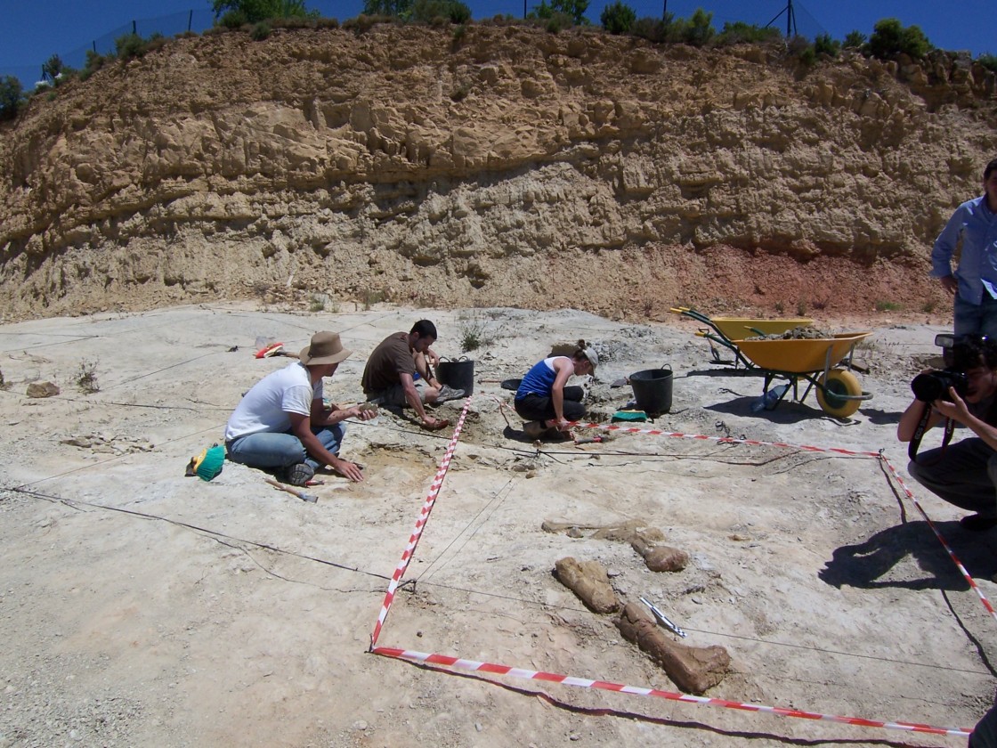 La Fundación Dinópolis ha hecho del yacimiento del Barrihonda-El Humero una auténtica mina de oro