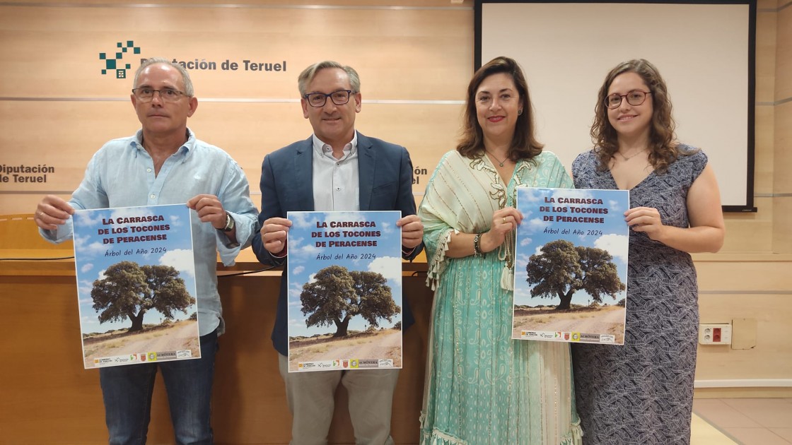 La Carrasca de los Tocones de Peracense, candidata a Árbol del Año 2024 en España