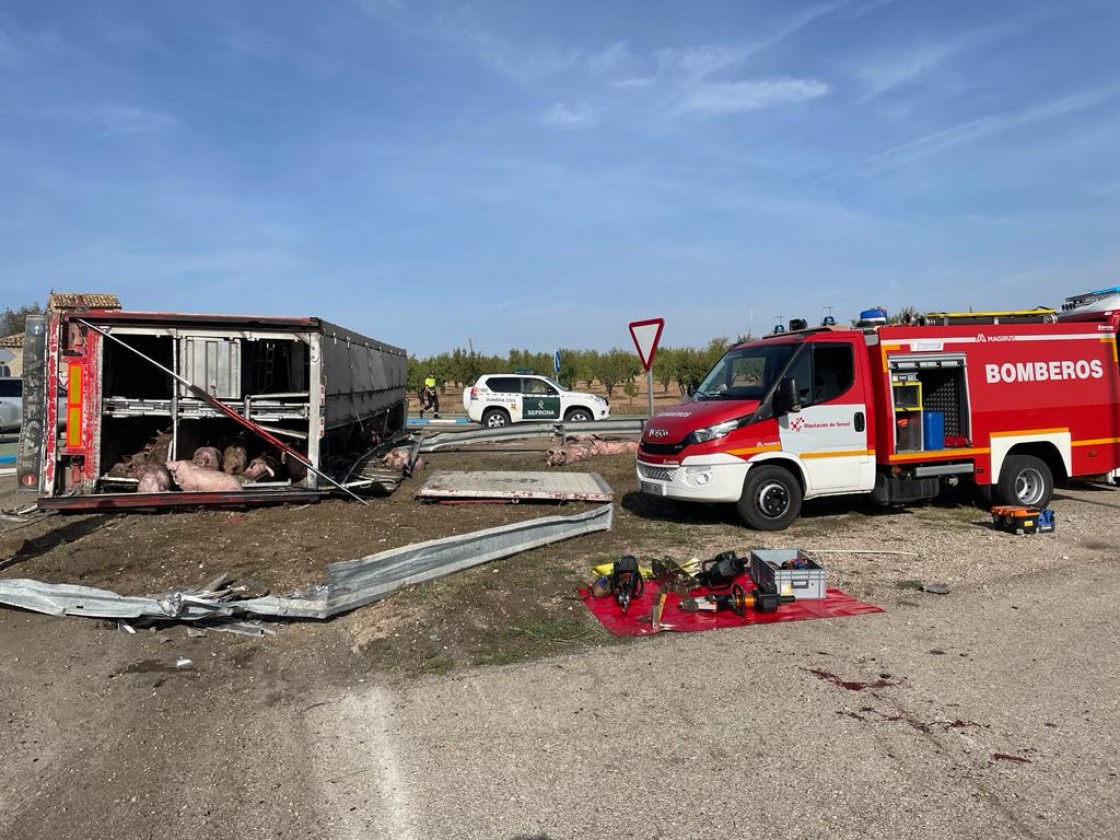 Un camión cargado de cerdos vuelca junto a Las Ventas de Valdealgorfa
