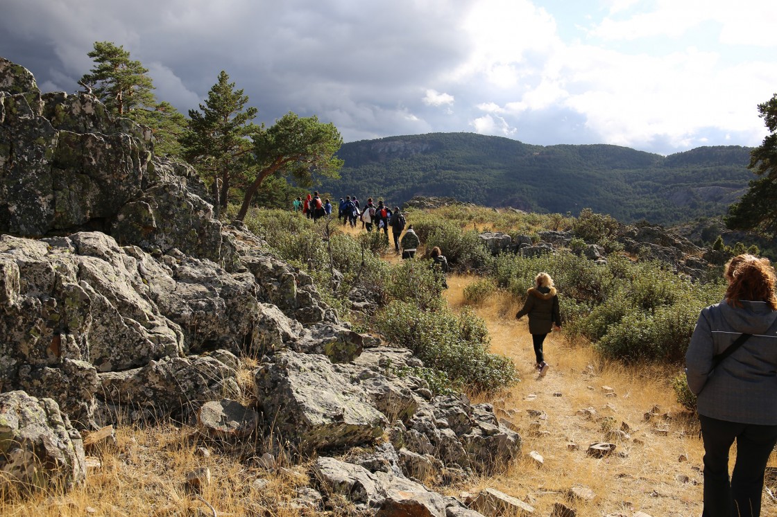 Los empresarios turísticos de Albarracín invitan a conocer la berrea de los ciervos