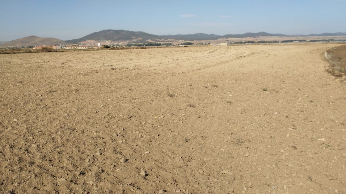 La escasa liquidez, los altos costes y la falta de lluvias preceden a la siembra del cereal
