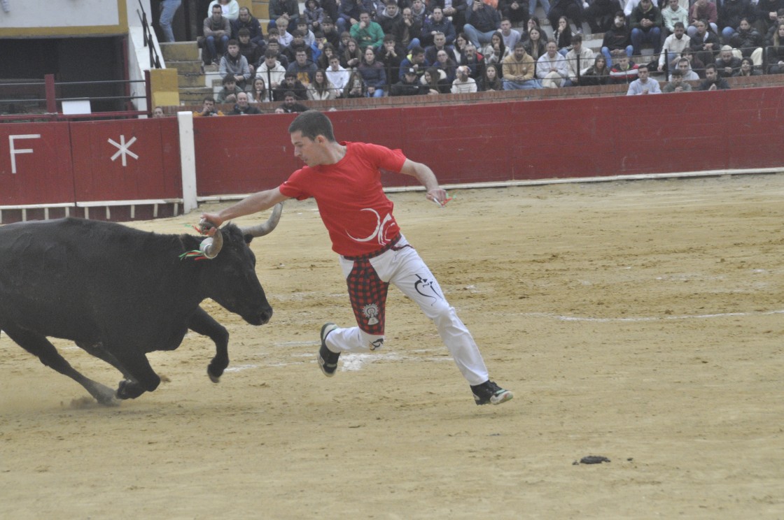 Tarde taurina en Teruel a base de recortadores y colocación de anillas