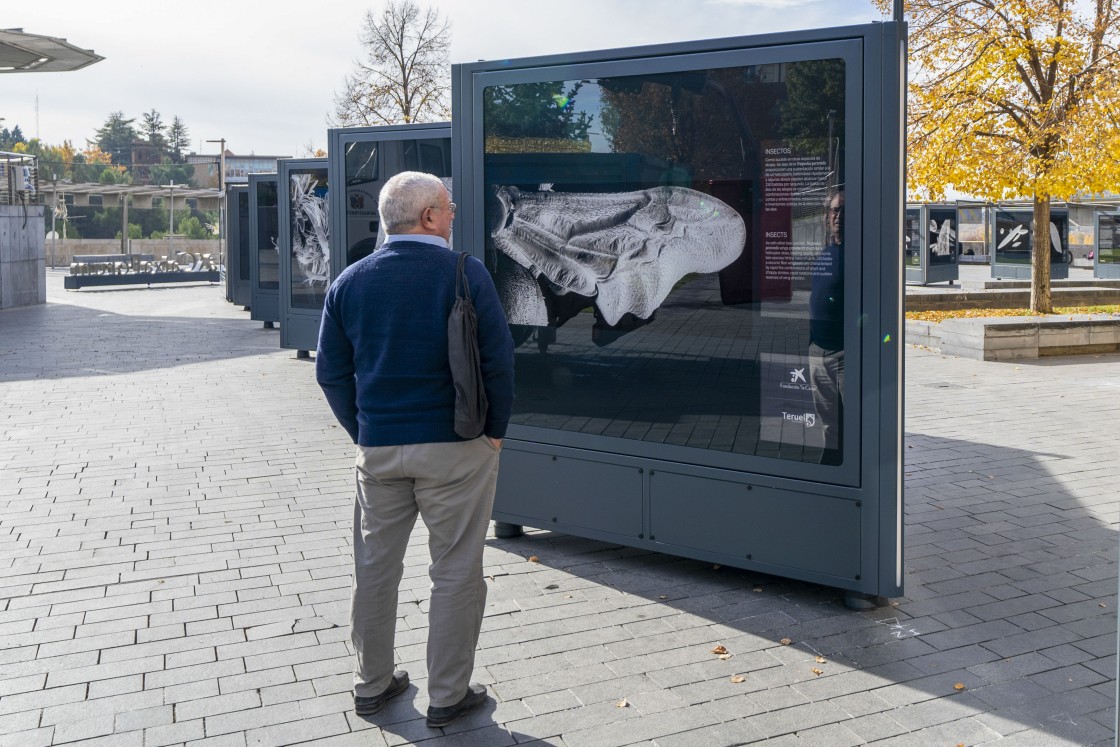 Teruel acoge 'Nanocosmos', una exposición que deja ver lo invisible al ojo humano