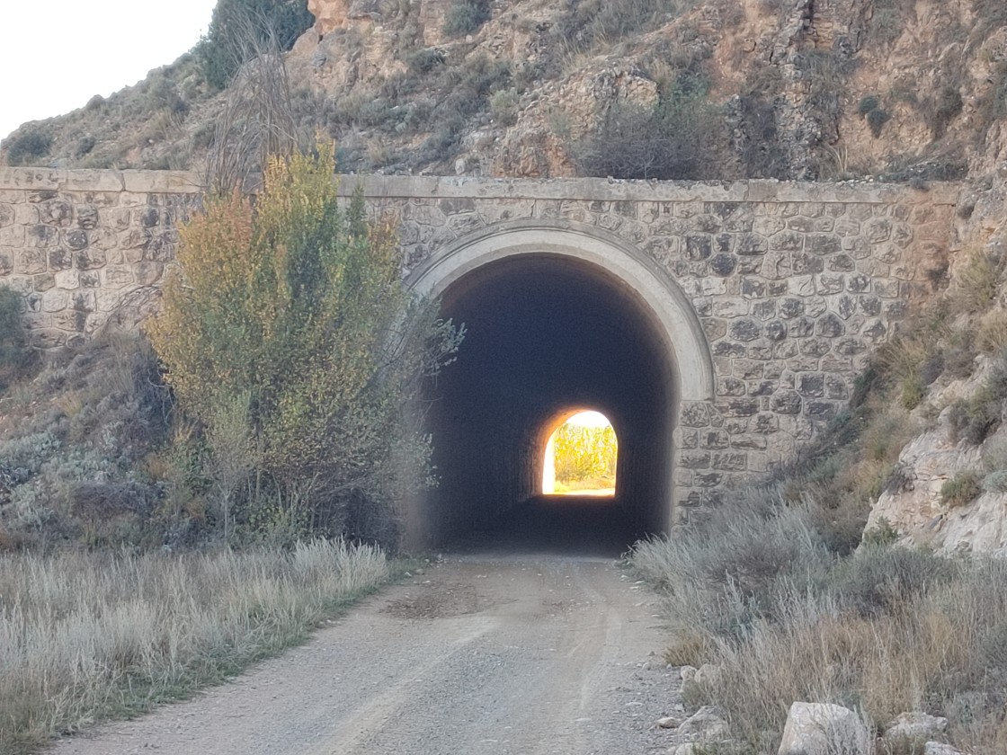 El ferrocarril Teruel-Alcañiz:  las expectativas de su construcción (I)