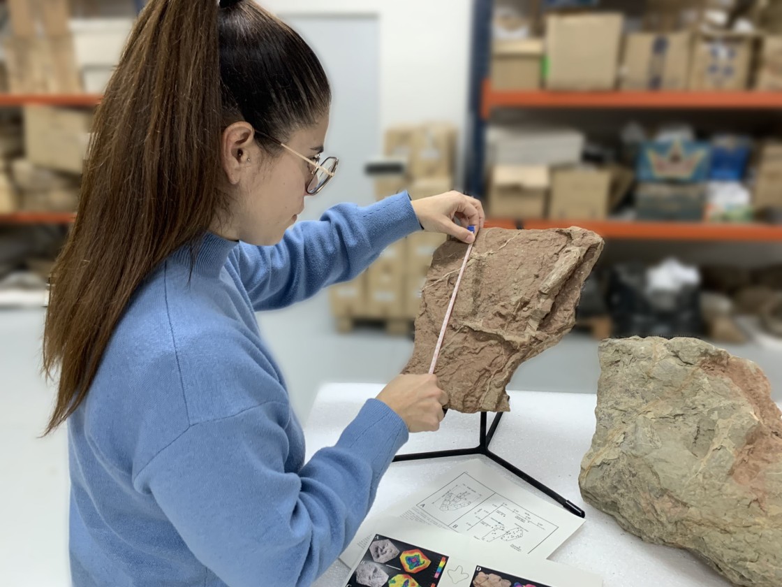 La Fundación Dinópolis describe dos nuevos yacimientos de huellas de dinosaurios en La Puebla de Valverde