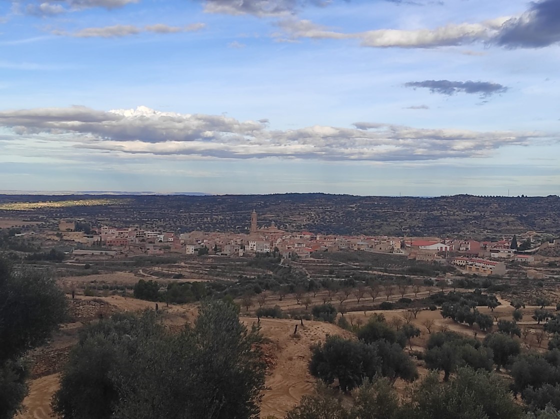 Valdealgorfa inicia un proceso para demostrar la propiedad de 243 hectáreas de monte