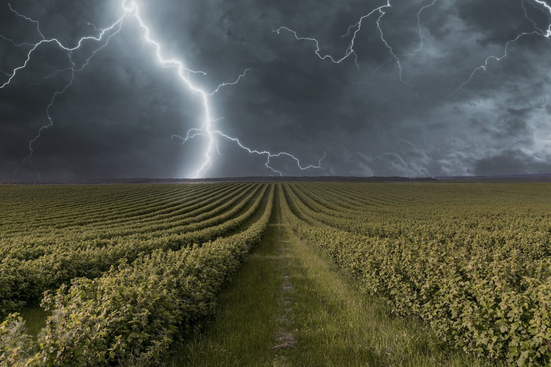 De la inercia, la gravedad y las tormentas