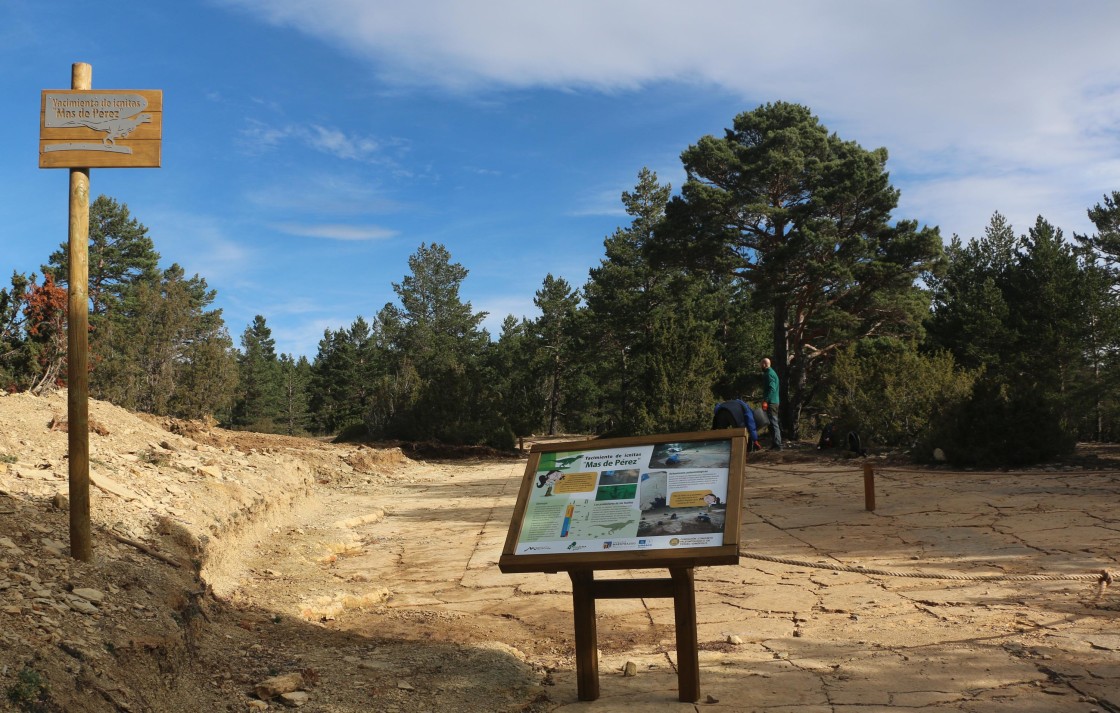 La Fundación Dinópolis acondiciona un yacimiento de huellas de dinosaurios en Mosqueruela para su visita turística